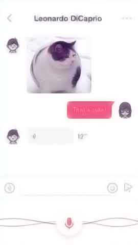 电话连环云呼叫软件